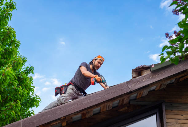 Best Roof Moss and Algae Removal  in Swanton, OH